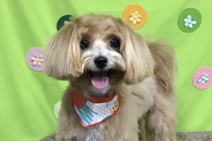 4月のお友達☆