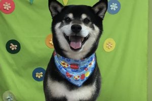４月のお友達☆