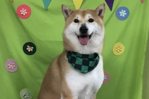 4月のお友達☆
