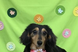 4月のお友達☆