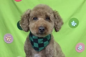4月のお友達☆
