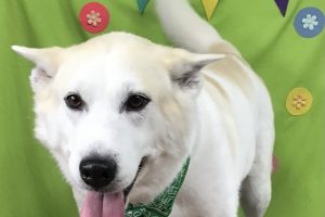 4月のお友達☆