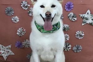 ５月のお友達☆