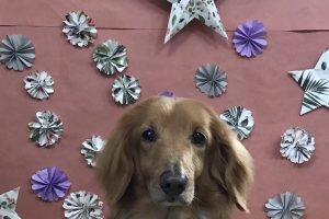 5月のお友達☆