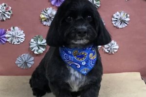 5月のお友達☆