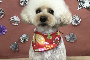 5月のお友達☆