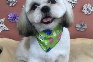 5月のお友達☆