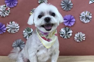 5月のお友達☆
