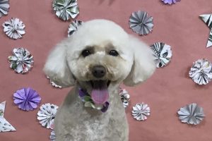 5月のお友達☆