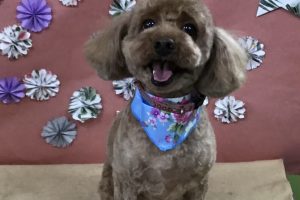 ５月のお友達☆