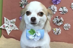 5月のお友達☆