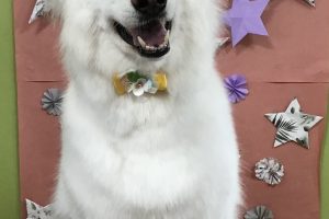 ５月のお友達☆