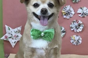 5月のお友達☆