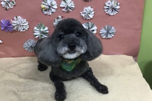 ５月のお友達☆