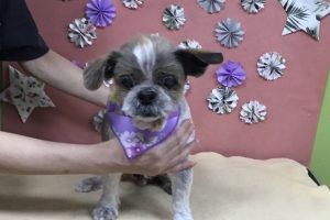 ５月のお友達☆