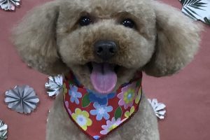 5月のお友達☆