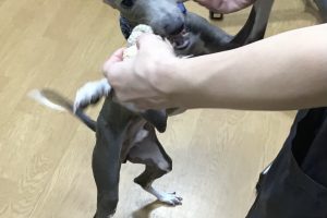 お泊り中☆