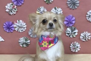 5月のお友達☆