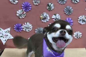 5月のお友達☆