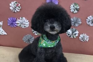 5月のお友達☆