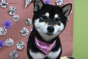 5月のお友達☆