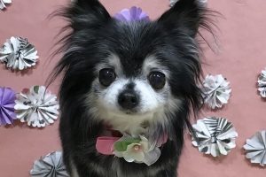 5月のお友達☆