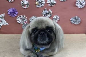 5月のお友達☆