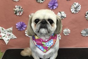5月のお友達☆