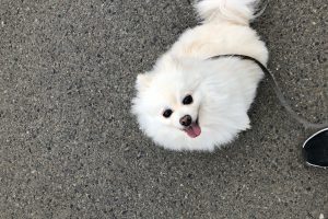 お泊り中☆