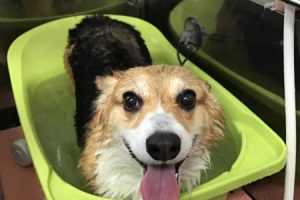５月のお友達☆