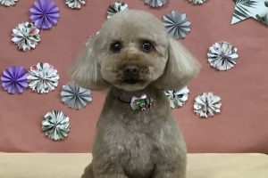 5月のお友達☆