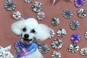 5月のお友達☆