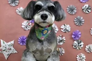 5月のお友達☆