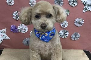５月のお友達☆