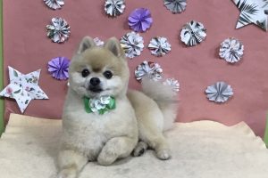 ５月のお友達☆