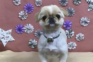 5月のお友達☆