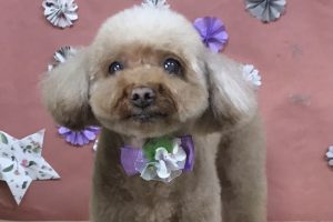 5月のお友達☆