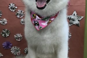 5月のお友達☆