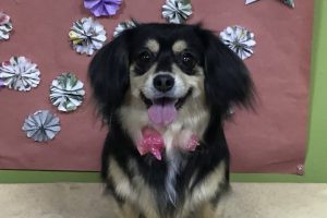 5月のお友達☆