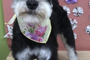 5月のお友達☆