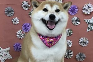 5月のお友達☆