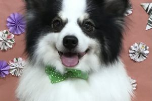5月のお友達☆