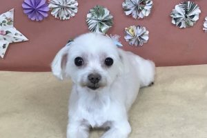 5月のお友達☆