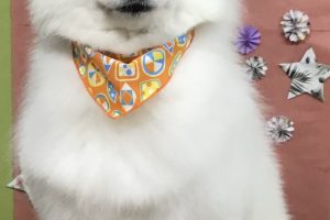 5月のお友達☆