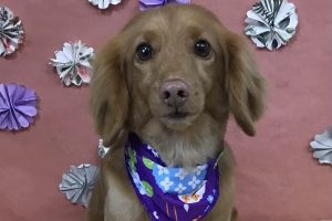 5月のお友達☆