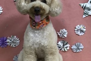 5月のお友達☆