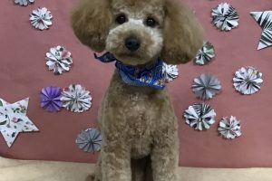 ５月のお友達☆