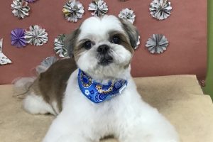 5月のお友達☆