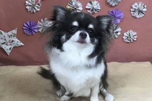 5月のお友達☆