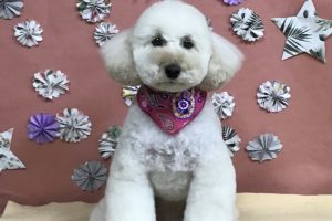 ５月のお友達☆